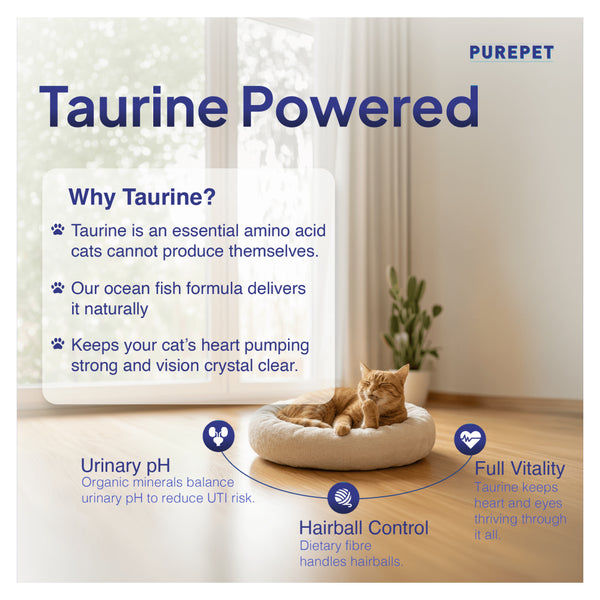 Purepet Ocean Fish Adult Cat Dry Food