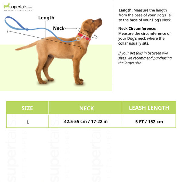TopDog Premium Nylon Collar and Leash Set for Dogs (Black)