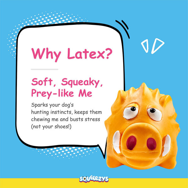Squeeezys Latex Warthog Squeaky Chew Toy for Dogs (Orange)