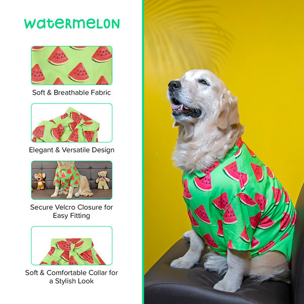 15buttons Watermelon Shirt for Dogs