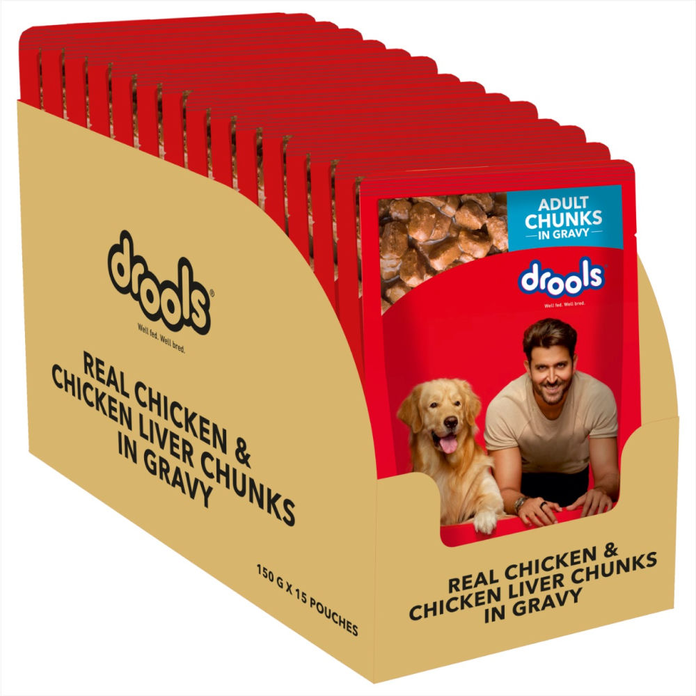 Drools wet dog food best sale