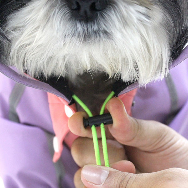 Dogobow Bubble&