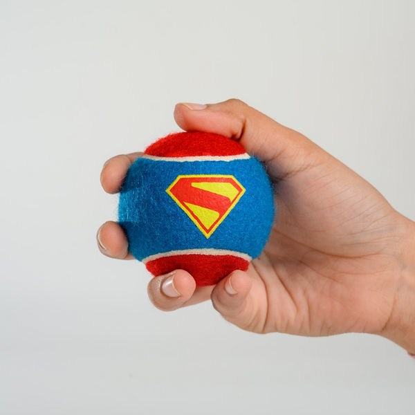 Warner Bros Superman Ball Toy for Dogs and Cats