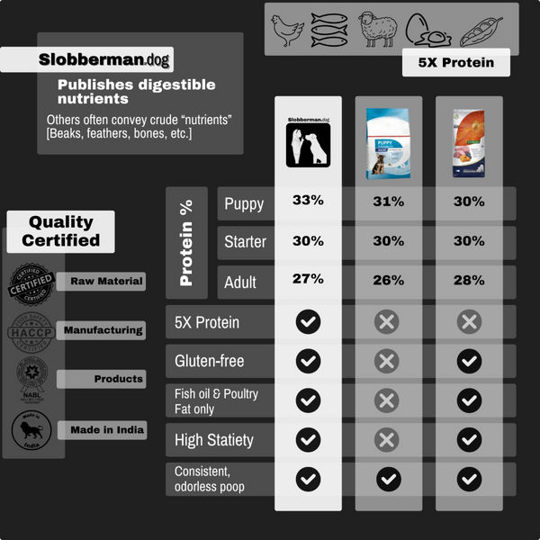 Slobberman dog Gluten Free High Protein Small and Medium Breed Adult Dog Dry Food