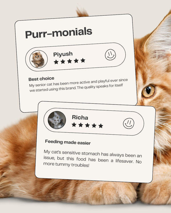 Fresh For Purrs Liverlicious Pumpkin Supplement for Cats