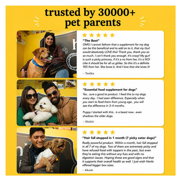 Henlo Everyday Topper for Home Cooked Food | Pre & Probiotic supplements for dogs