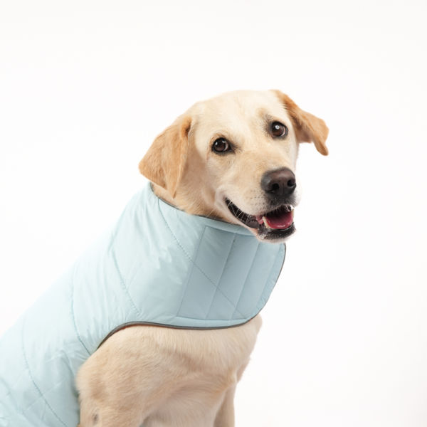 Skatrs Firefly Fuzz Puffer Reversible Jacket for Dogs and Cats
