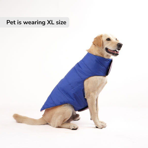 Skatrs Cotton Candy Cuddles Puffer Reversible Jacket for Dogs and Cats