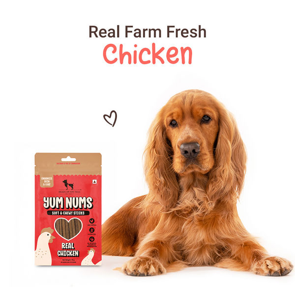 HUFT Yum Nums Real Chicken Soft & Chewy Sticks Dog Treats