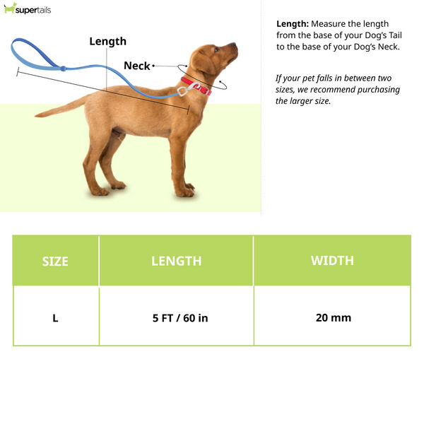 Zoomiez Hands Free Mesh Leash for Dogs & Cats (Royal Blue)