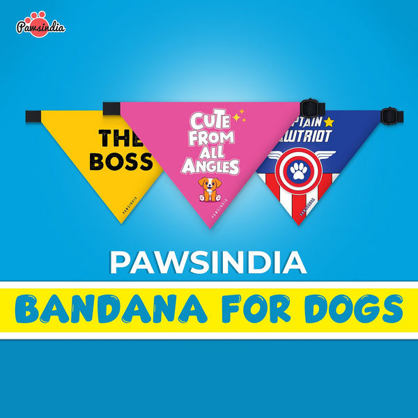 Pawsindia I am F*ing Perfect Pet Bandana for Dogs and Cats