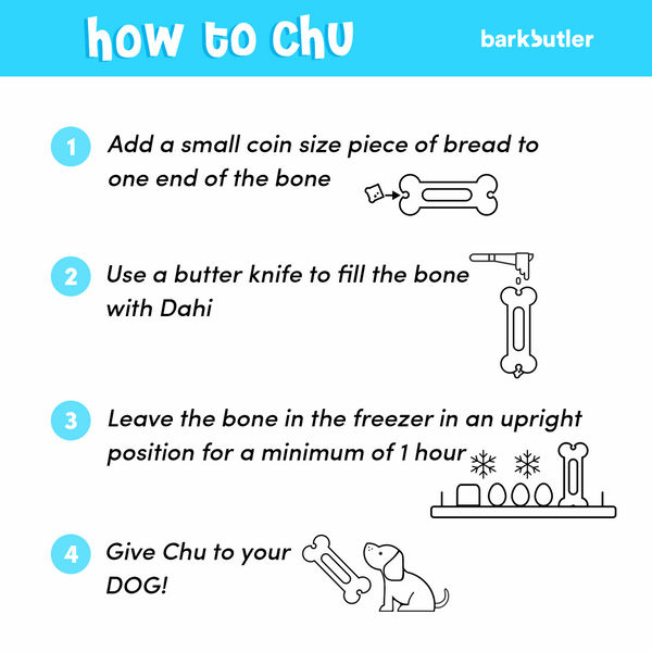 Barkbutler Chu the bone Treat Dispensing Toy for Dogs (Green)