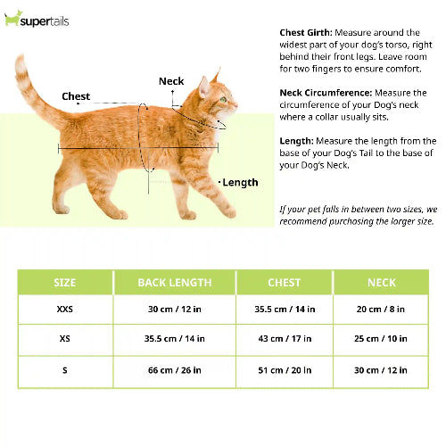 Pawgypets Rainbow Sando for Cats (White)