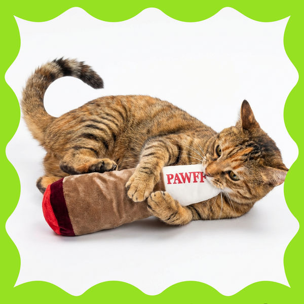 WTF Pawff Puff Plush Toy For Dogs and Cats