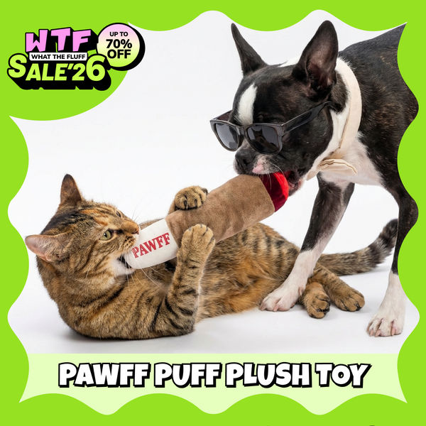 WTF Pawff Puff Plush Toy For Dogs and Cats