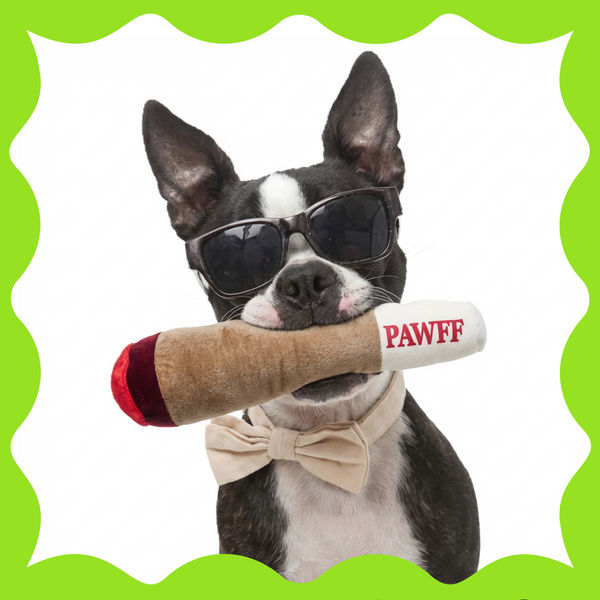 WTF Pawff Puff Plush Toy For Dogs and Cats