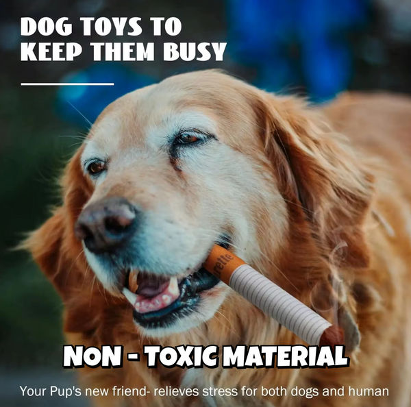 Talking Dog Club No Smoke Cigarette with Cover Plush Toy for Dogs
