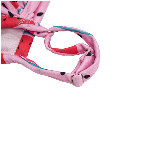 Pet Bigginis For Dogs (Pink/Red)