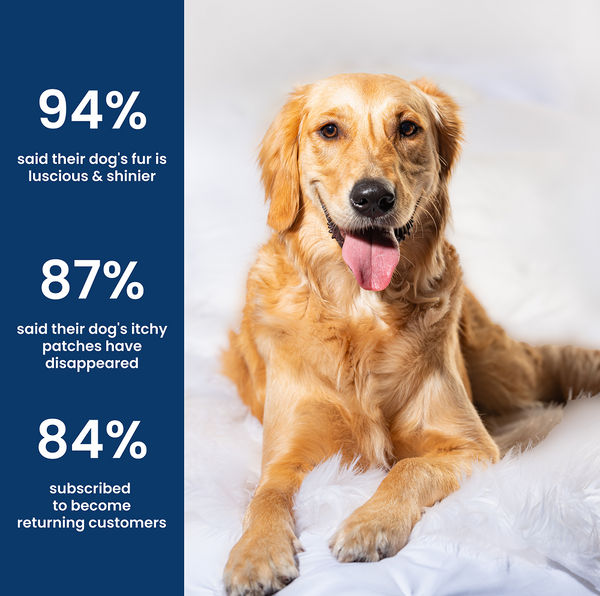 Absolut Pet Probiotics Gut Skin Coat Support Collagen and Biotin Health Dog Supplement