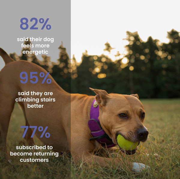 Absolut Pet Hip and Joint Care Dog Supplement