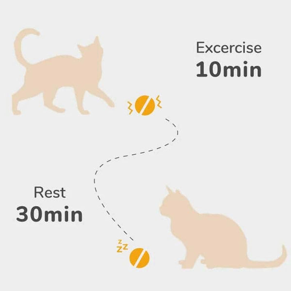 Cheerble Electronic Ball Toy for Cats (Grey)