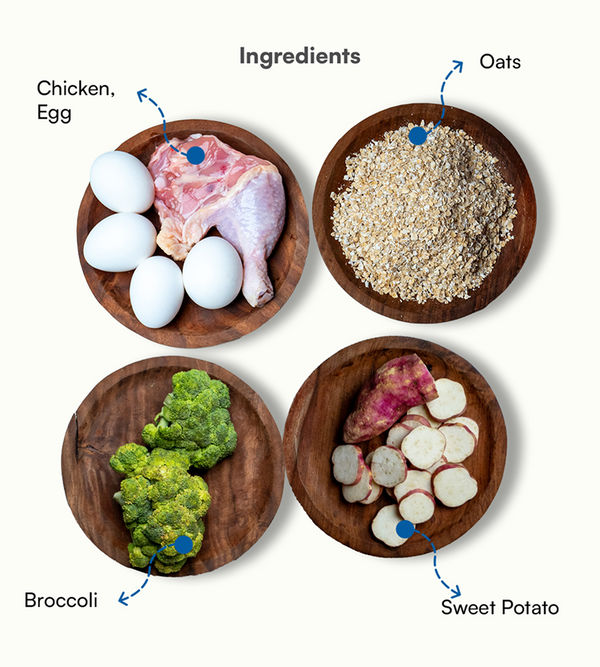Pawfectly Made By Licious Chicken Oats & Broccoli Home Meal for Dogs
