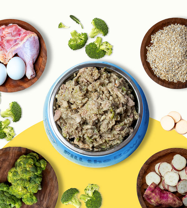 Pawfectly Made By Licious Chicken Oats & Broccoli Home Meal for Dogs