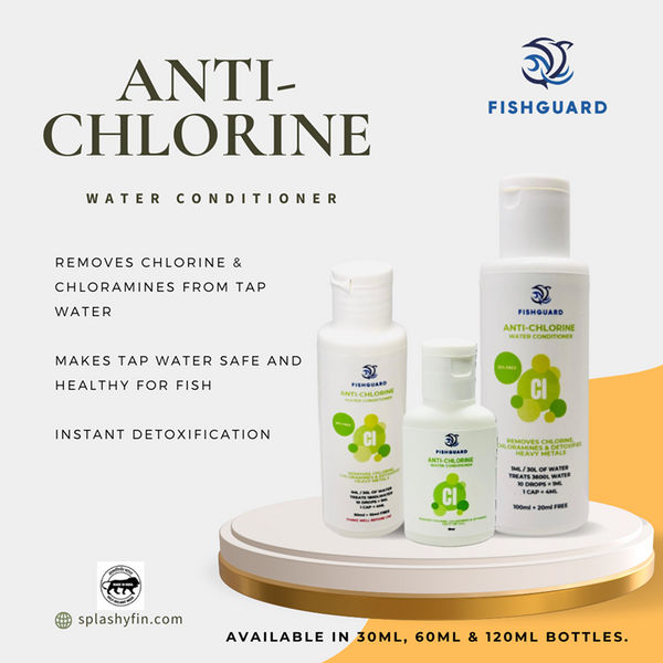 Splashy Fin FishGuard Anti Chlorine Water Conditioner