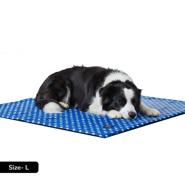 Skatrs Cooling Mat for Dogs & Cats (Blue and White)