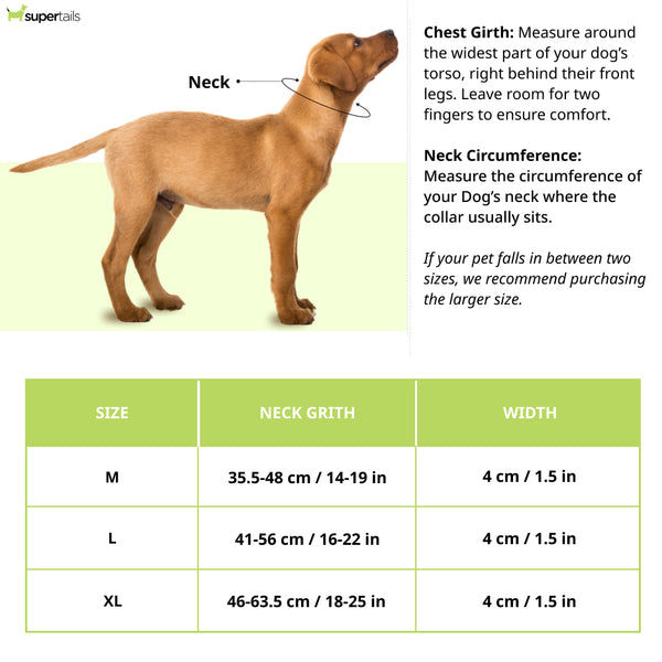 Dogobow Animal Print Martingale Collar for Dogs (Teal)