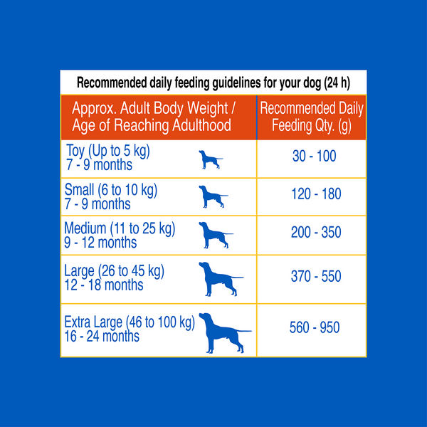 Waggies Chicken with Vitamins All Breed Adult Dog Dry Food