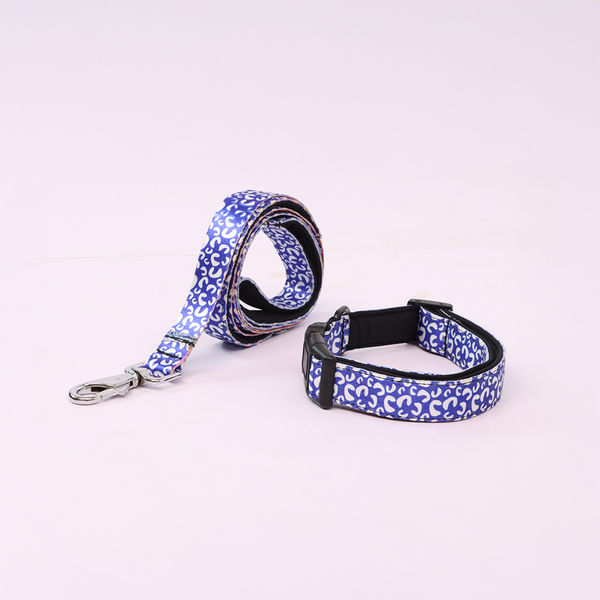 Skatrs Enigma Leash for Dogs