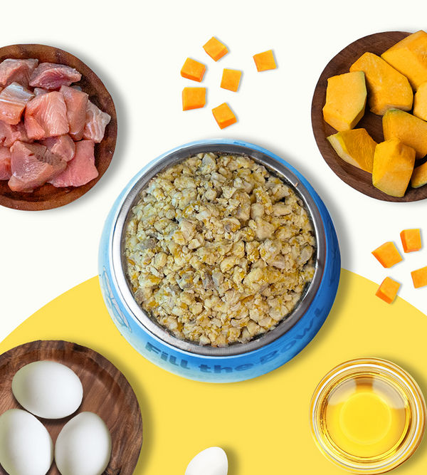 Pawfectly Made By Licious Fish & Pumpkin Home Meal for Cats