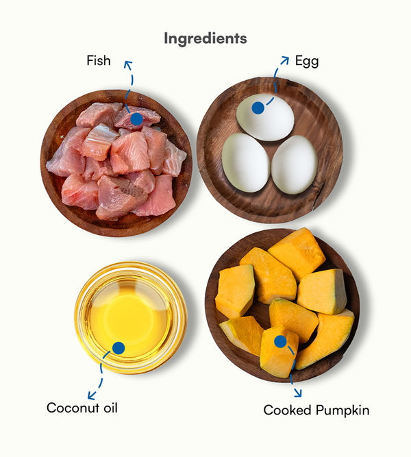 Pawfectly Made By Licious Fish & Pumpkin Home Meal for Cats