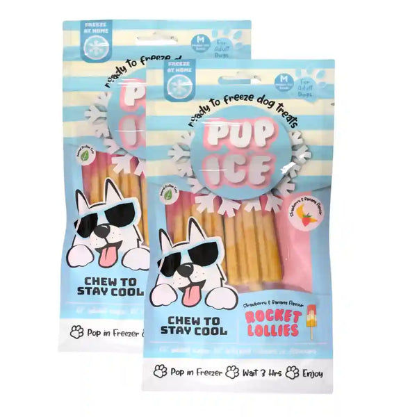 Pup Ice Meat Free Strawberry and Banana Flavoured Rocket Lollies Dog Treat