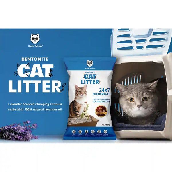 Hachi Wilson Scented Natural Bentonite White Sand Cat Litter