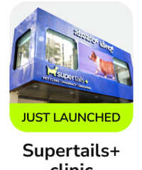 frame_1707512350.webp__PID:7b5c7534-9823-414a-bdfc-0e6fe751246a