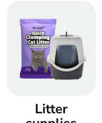 frame_1707512609.webp__PID:2a568319-6b41-4543-bb91-162e6530267c