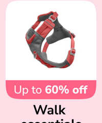 frame_1707513084.webp__PID:5064a342-93a7-483c-bd22-26cca0be01ed