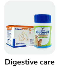 frame_1707520263.webp__PID:f1dc133f-5355-4d17-adf9-faf42b54f19e