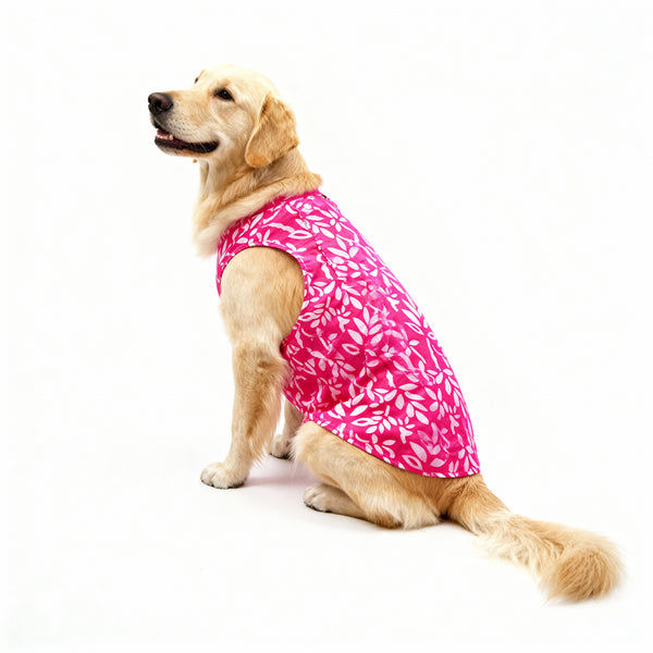 Skatrs Cotton Shirt for Dogs and Cats (Hot Pink and White)