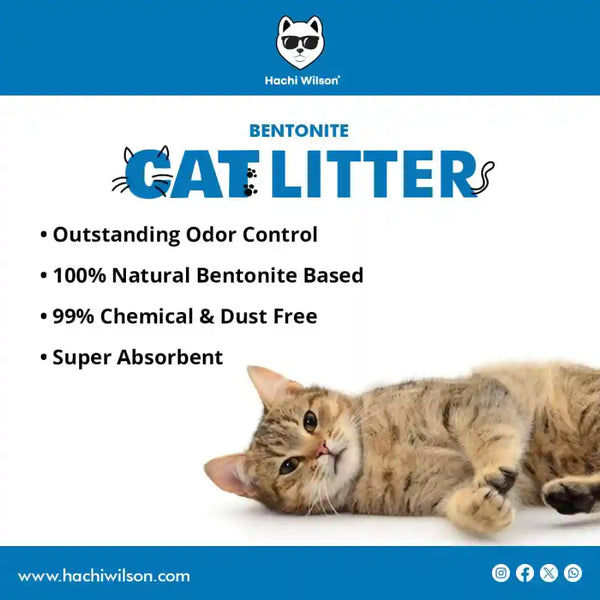 Hachi Wilson Scented Natural Bentonite White Sand Cat Litter