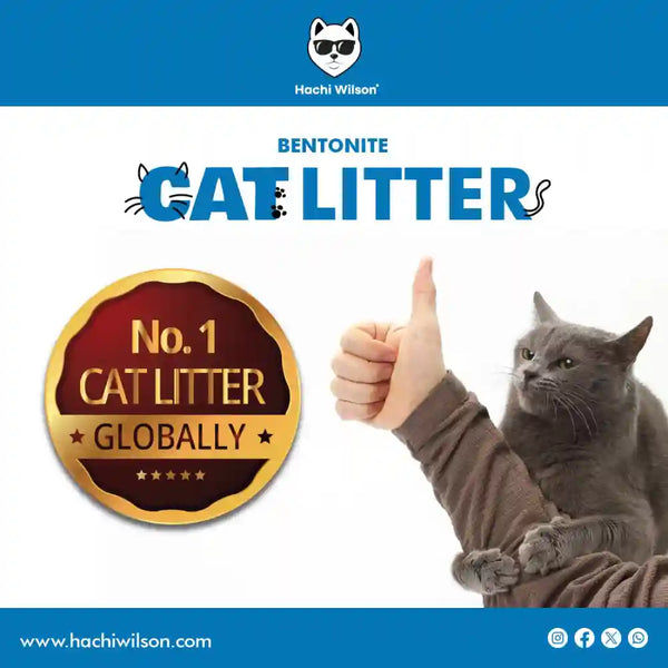 Hachi Wilson Scented Natural Bentonite White Sand Cat Litter