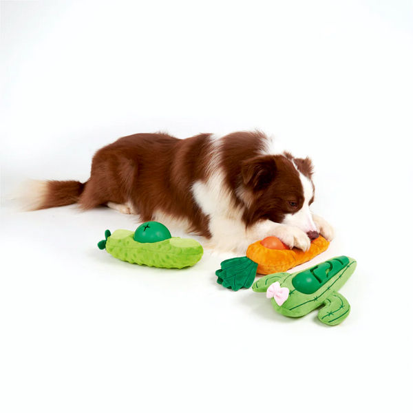 Barkbutler x Fofos Avocado Treat Toy for Dogs | For Medium Chewers