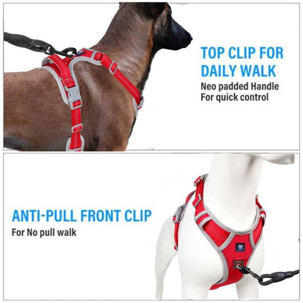 Hank 3M Reflective Harness for Puller Dogs (Grey/Red)