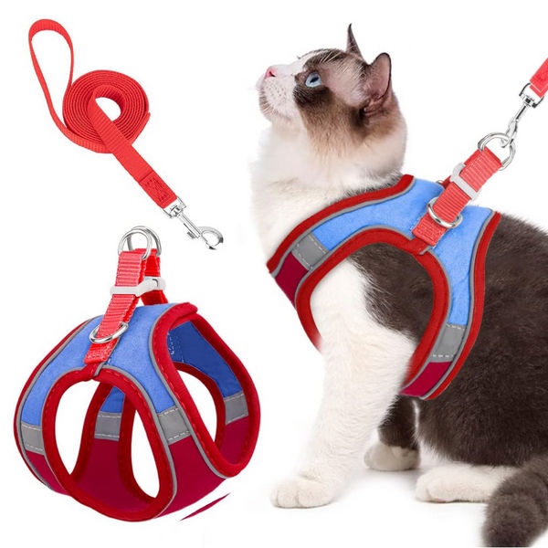 QPets Reflective Mesh Vest Harness with Leash for Cats (Blue/Red)