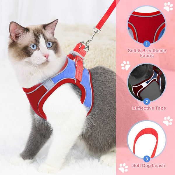 QPets Reflective Mesh Vest Harness with Leash for Cats (Blue/Red)