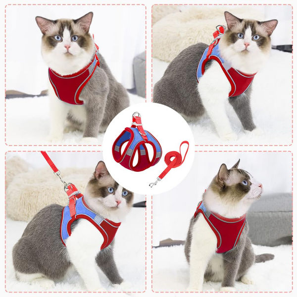 QPets Reflective Mesh Vest Harness with Leash for Cats (Blue/Red)