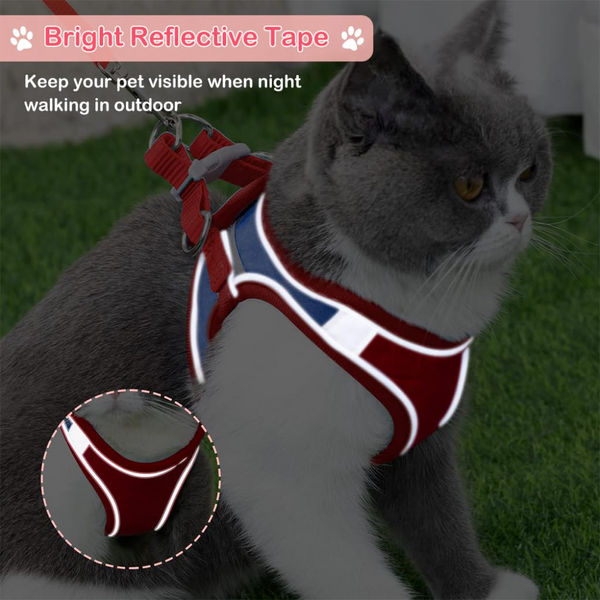 QPets Reflective Mesh Vest Harness with Leash for Cats (Blue/Red)