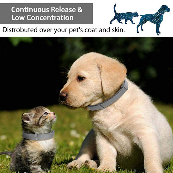 QPets Adjustable Waterproof Tick & Flea Collar for Dogs and Cats (Grey)